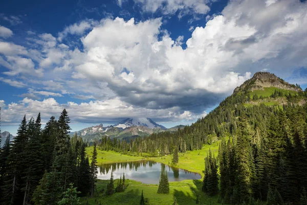 Národní Park Mount Rainier Washington — Stock fotografie