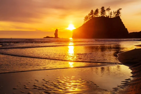 Parque Nacional Olímpico Paisagens Pôr Sol — Fotografia de Stock