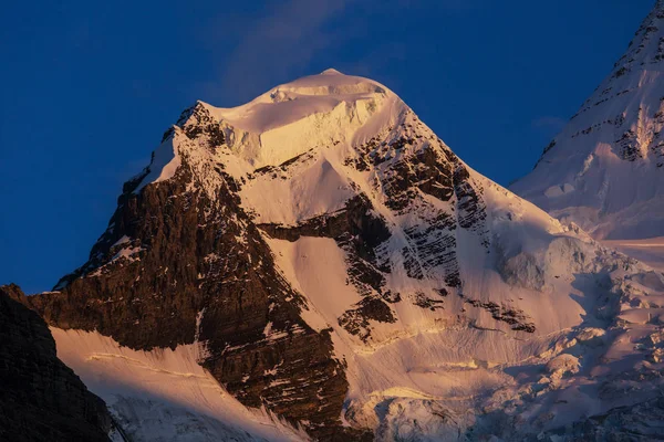 Bellissimo Monte Robson Nella Stagione Estiva Canada — Foto Stock