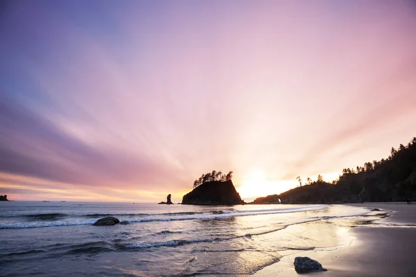 Olympic National Park Landskap Solnedgången — Stockfoto