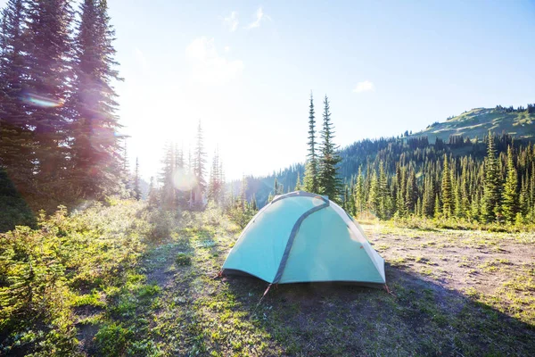 山の中でテントをハイキング マウンテンベイカーレクリエーション地域 ワシントン州 アメリカ — ストック写真