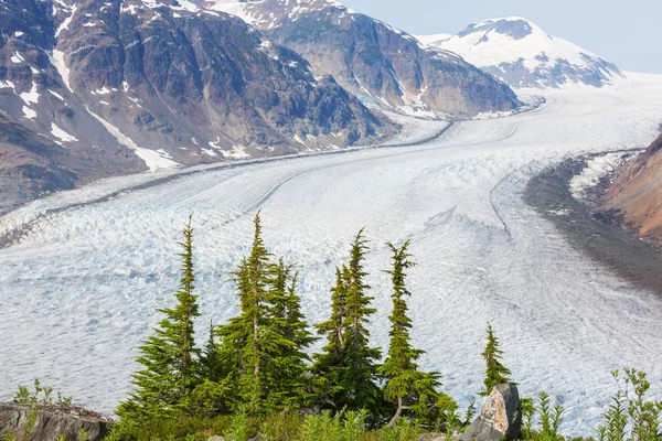 Lososí Ledovec Stewartu Kanada — Stock fotografie