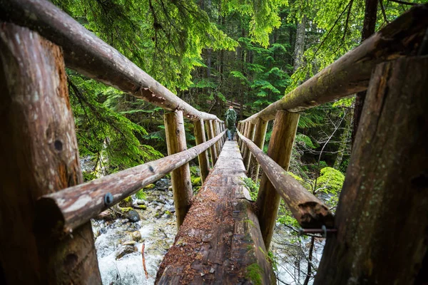 Puente Madera Sobre Arroyo Montañas —  Fotos de Stock