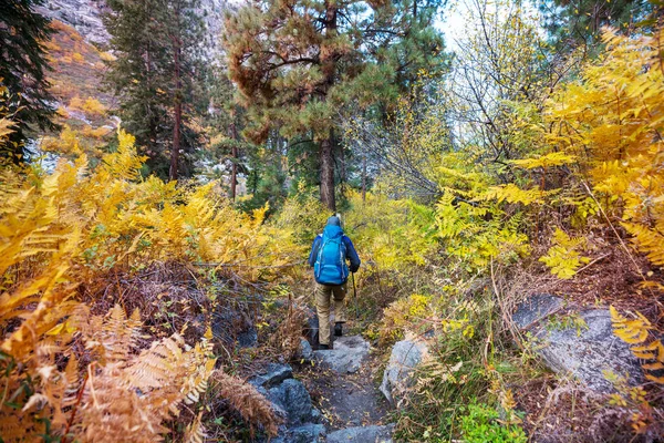 Wanderung Den Herbstlichen Bergen — Stockfoto