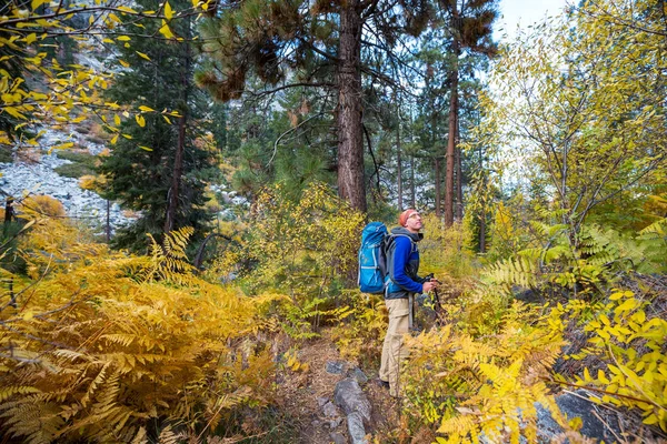 Caminata Las Montañas Otoño —  Fotos de Stock