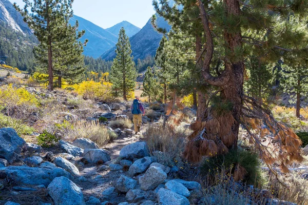 Hike Autumn Mountains — Stock Photo, Image