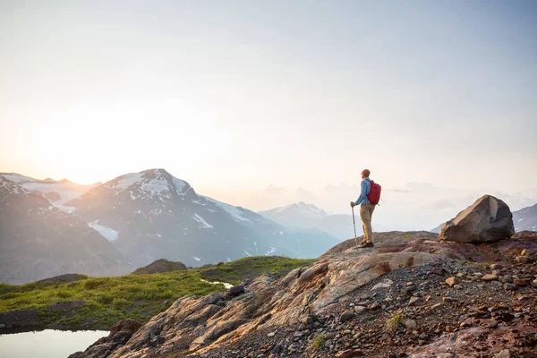 Caminhando Homem Nas Montanhas Canadenses Caminhada Atividade Recreação Popular América — Fotografia de Stock