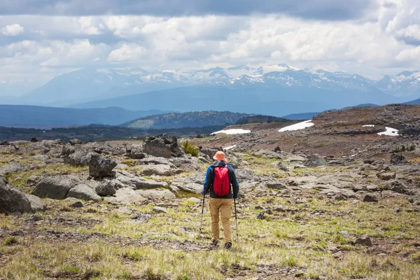 Caminhando Homem Nas Montanhas Canadenses Caminhada Atividade Recreação Popular América — Fotografia de Stock