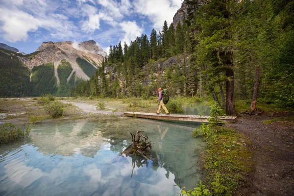 Caminhando Homem Nas Montanhas Canadenses Caminhada Atividade Recreação Popular América — Fotografia de Stock