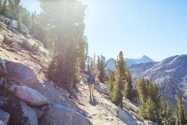 Człowiek Sprzętem Turystycznym Spacerujący Górach Sierra Nevada Kalifornia Usa — Zdjęcie stockowe