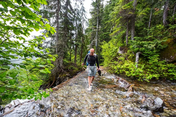 夏の山のハイキングでバックパッカー — ストック写真