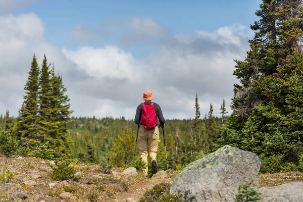 Backpacker Wędrówce Letnich Górach — Zdjęcie stockowe