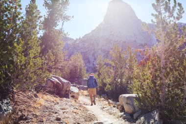 Yaz dağlarında gezintiye çıkmış bir gezgin.