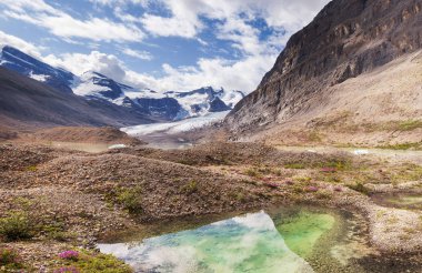 Yaz mevsiminde Kanada Kayalıkları 'nda resim gibi dağ manzarası