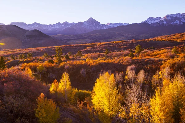 Färgglad Gul Höst Colorado Usa Höstsäsong — Stockfoto