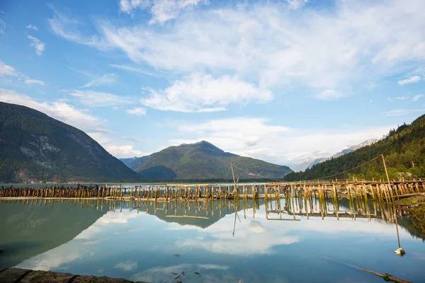 Beau Rivage Coucher Soleil Bella Coola Canada — Photo