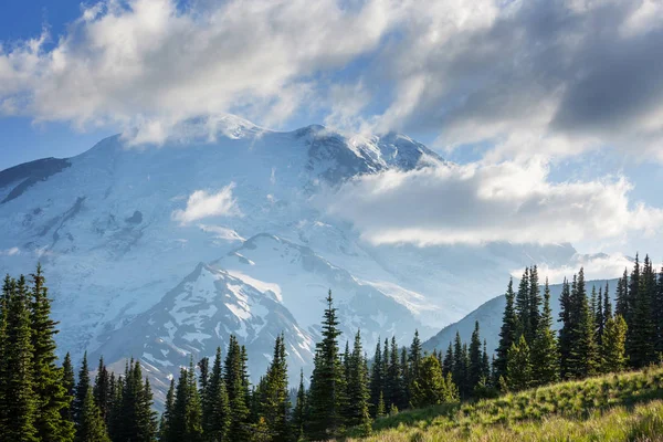 Parque Nacional Mount Rainier Washington — Fotografia de Stock