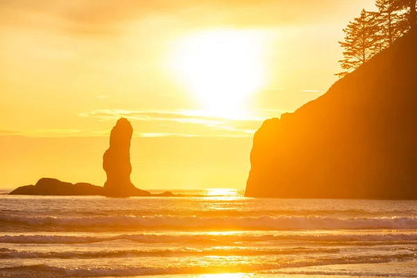 Scenic Rigorous Pacific Coast Olympic National Park Washington Usa Rocks — Stock Photo, Image