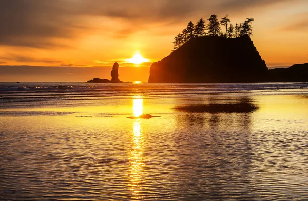 Côte Pacifique Pittoresque Rigoureuse Dans Parc National Olympique Washington États — Photo