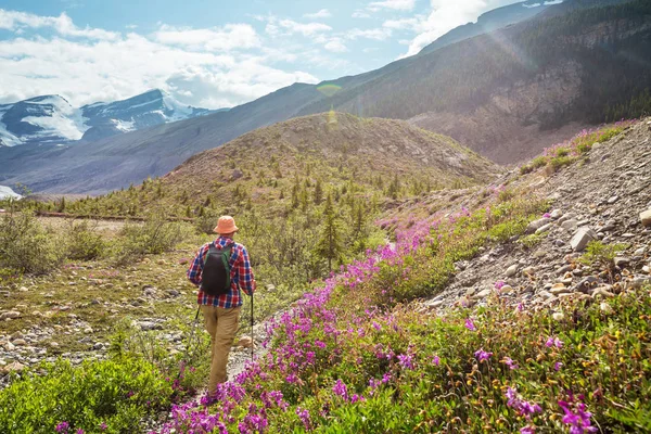 Wandelaar Canadese Bergen Wandelen Populaire Recreatie Activiteit Noord Amerika Zijn — Stockfoto