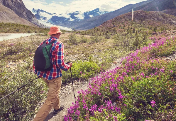 Escursionista Sulle Montagne Canadesi Hike Attività Ricreativa Popolare Nord America — Foto Stock