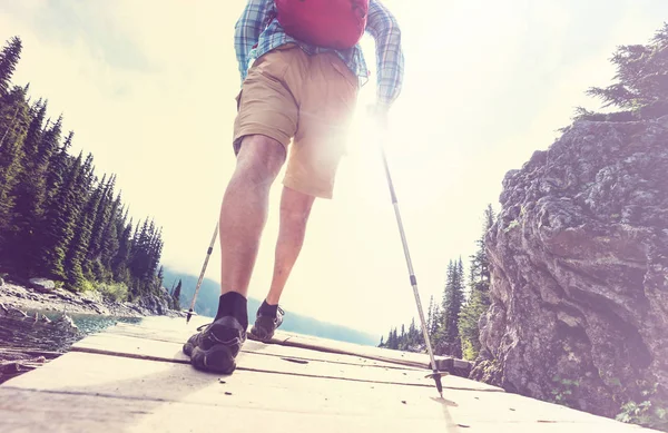 在夏天的山上徒步旅行的背包客 — 图库照片