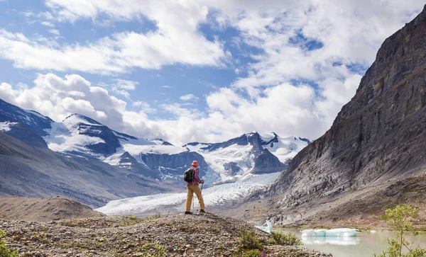 Caminante Montañas Canadienses Caminata Actividad Recreativa Popular América Del Norte Imágenes de stock libres de derechos