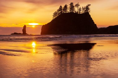 Scenic and rigorous Pacific coast in the Olympic National Park, Washington, USA. Rocks in the ocean and large logs on the beach. clipart