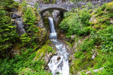 Mount Rainier Ulusal Parkı'nda bir şelale üzerinde köprü, Washington, ABD