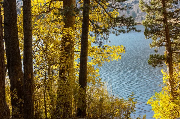 Beautiful Lake Autumn Season — Stock Photo, Image