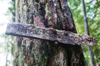 Pacific Crest Trail için tabela. Kuzey Amerika'da ünlü yürüyüş parkuru.