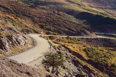 Dağlarda kırsal yol, Şili