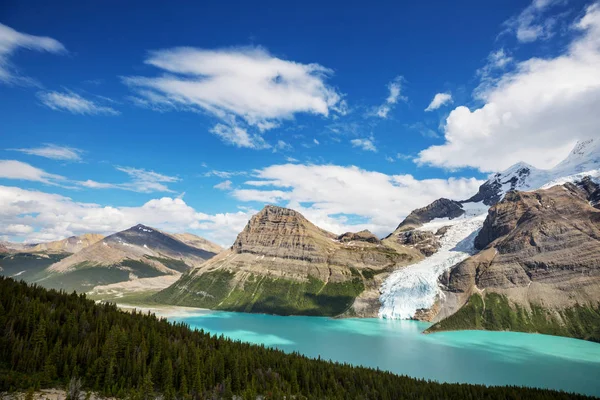 Prachtige Mount Robson Het Zomerseizoen Canada — Stockfoto