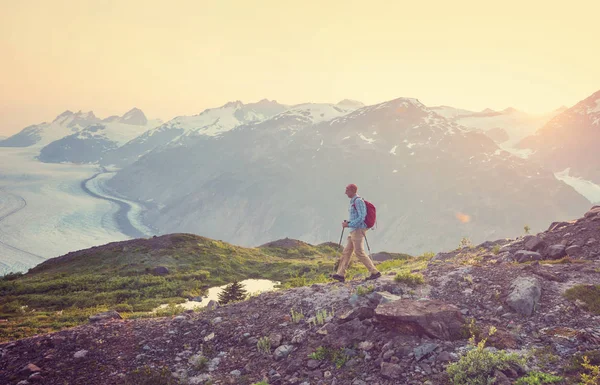 Caminhando Homem Nas Montanhas Canadenses Caminhada Atividade Recreação Popular América — Fotografia de Stock