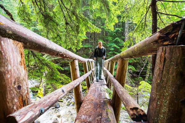 Puente Madera Sobre Arroyo Montañas —  Fotos de Stock