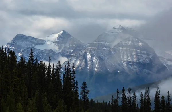 Picturesque Mountain View Canadian Rockies Summer Season Stock Picture