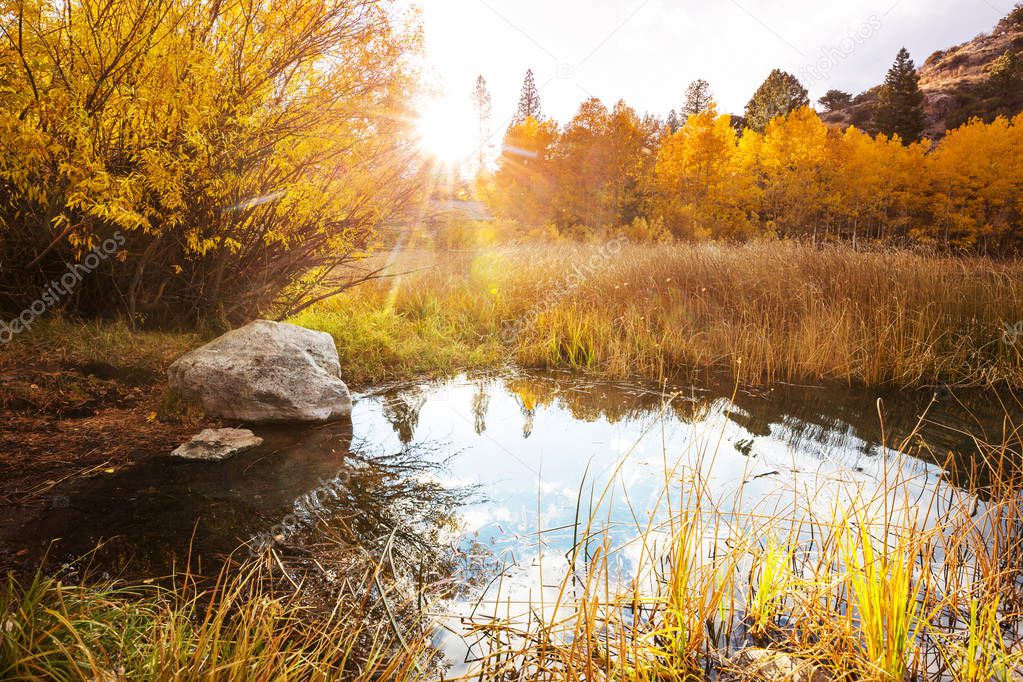 The beautiful lake in Autumn season