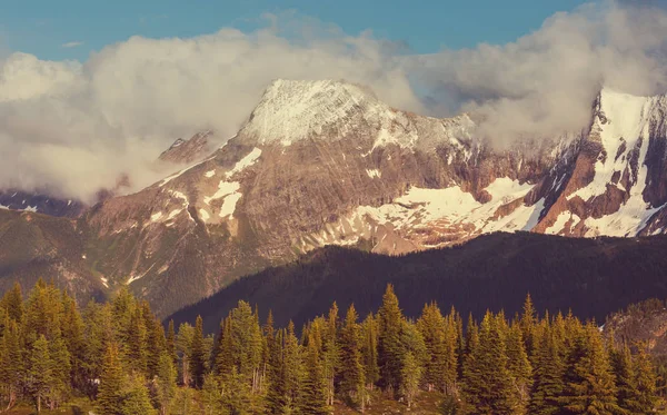 夏季加拿大落基山脉的风景如画的山景 — 图库照片