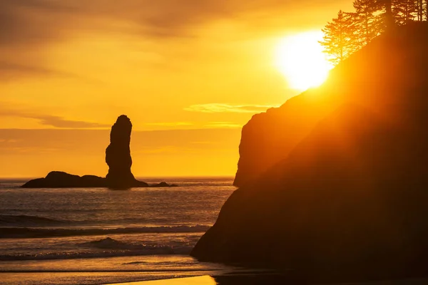 Costa Del Pacífico Escénica Rigurosa Parque Nacional Olímpico Washington Rocas — Foto de Stock