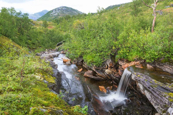 Mały Wodospad Norwegii Sezonie Letnim — Zdjęcie stockowe