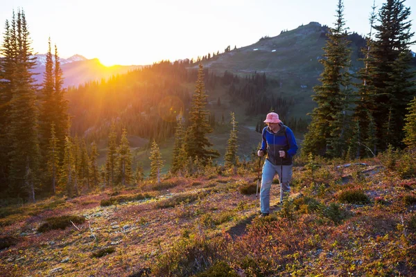 Hiking Scene Beautiful Summer Mountains Sunset — Stock Photo, Image