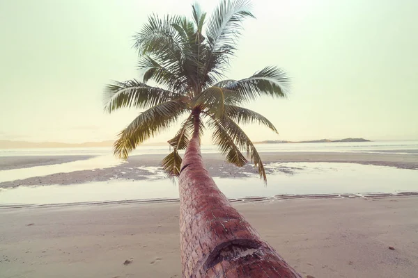 Serenidad Playa Tropical — Foto de Stock