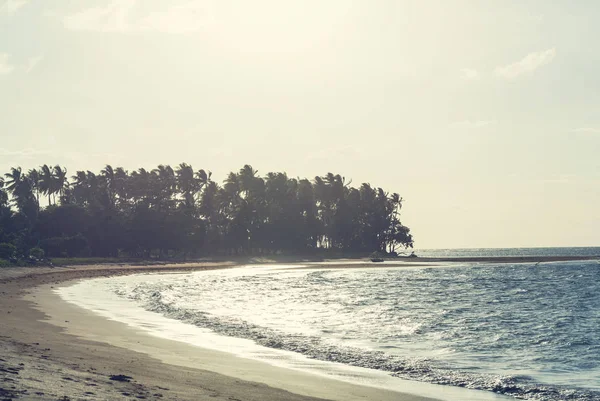 Спокойствие Тропическом Пляже — стоковое фото