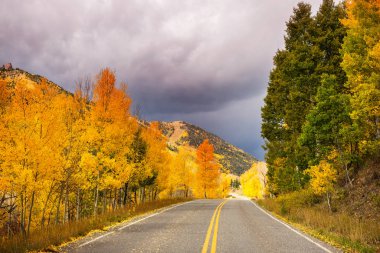 Colorado, ABD 'de renkli bir sonbahar. Sonbahar sezonu.