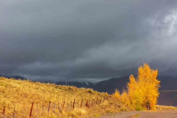 Colorido Otoño Amarillo Colorado Estados Unidos Temporada Otoño — Foto de Stock