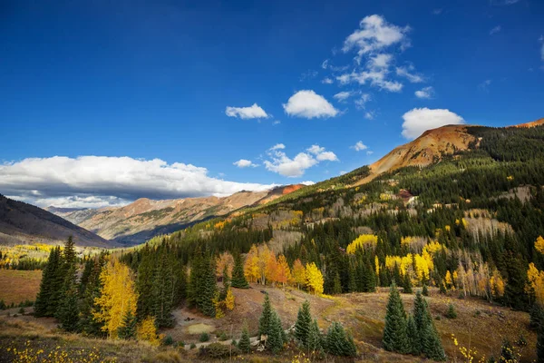 Outono Amarelo Colorido Colorado Estados Unidos Temporada Outono — Fotografia de Stock