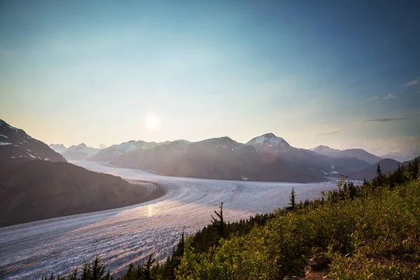 Zalmgletsjer Stewart Canada — Stockfoto