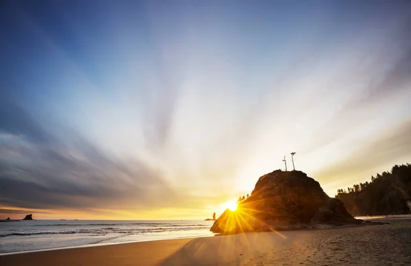 Costa Pacífico Cênica Rigorosa Parque Nacional Olímpico Washington Eua Pedras — Fotografia de Stock