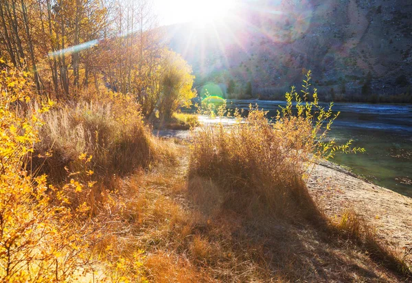 Bellissimo Lago Autunno Stagione — Foto Stock