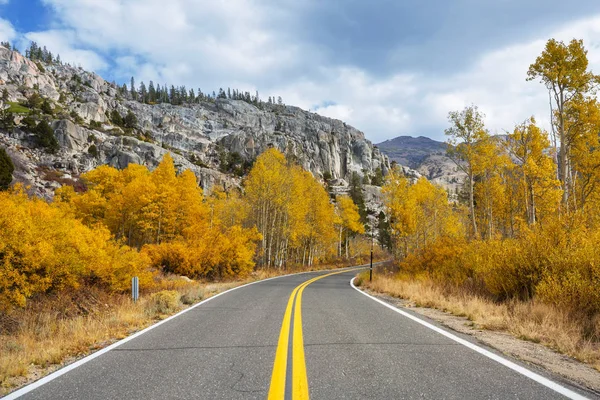 Colorful Autumn Scene Countryside Road Forest — Stock Photo, Image